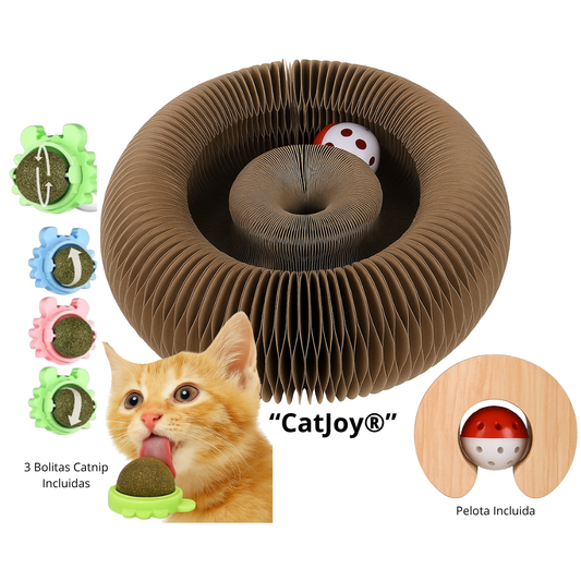 PROMO SEGUNDO 😺🎮 Kitty Curls® - Juguete Interactivo Rascador para Gatos 🐾